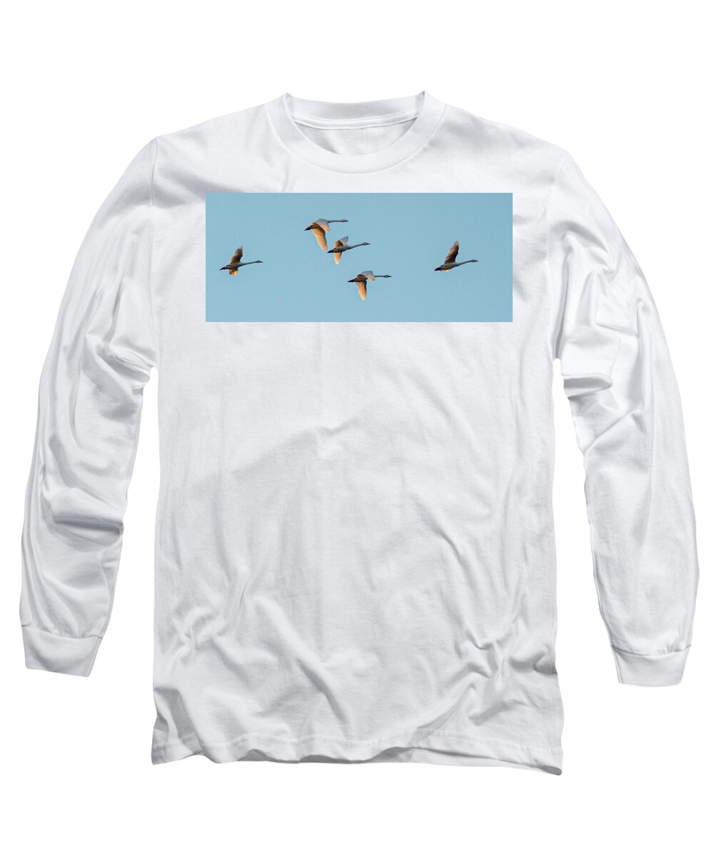 Birds Long Sleeve T-Shirt featuring the photograph Tundra Swan by Minnie Gallman