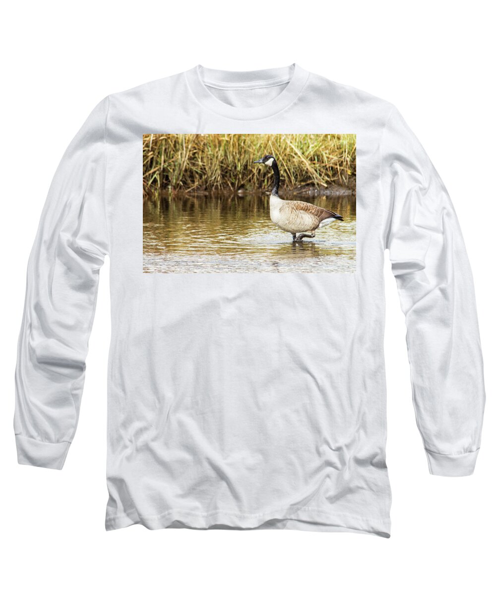 Canada Long Sleeve T-Shirt featuring the photograph Wading Canada Goose by Bob Decker