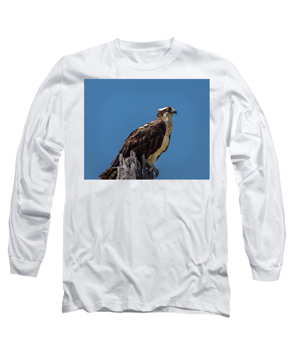 Caretta Long Sleeve T-Shirt featuring the photograph Watchful Eye by Ray Silva