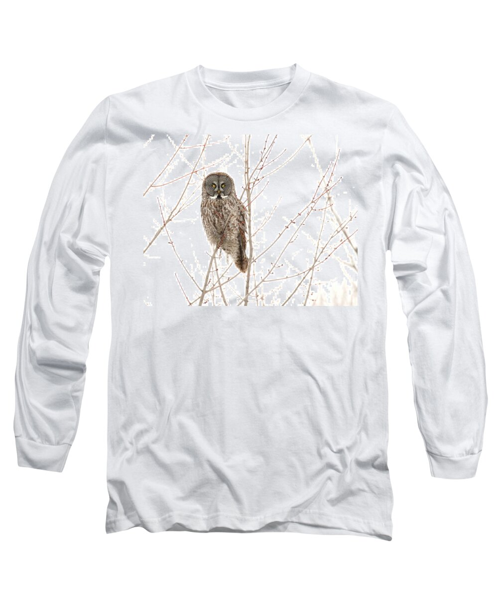 Great Gray Owl Long Sleeve T-Shirt featuring the photograph Watching You by Heather King