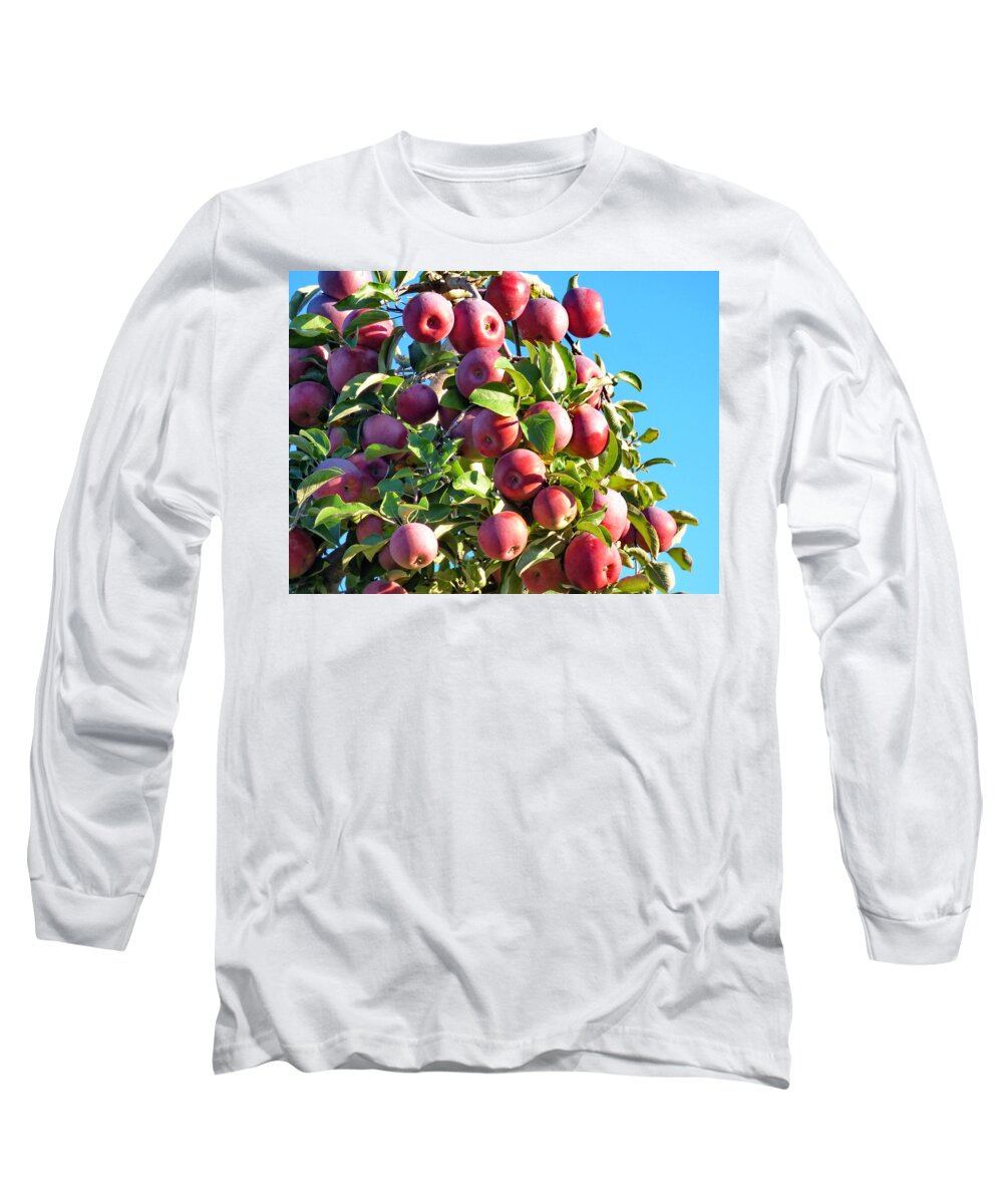 Apple Long Sleeve T-Shirt featuring the photograph Welcome Apple Pickers by Lyuba Filatova