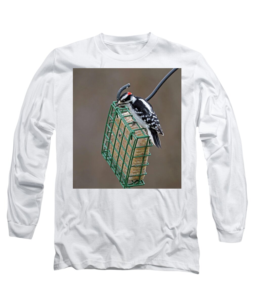 Wild Bird Long Sleeve T-Shirt featuring the photograph Hairy Woodpecker #1 by Terry Cork