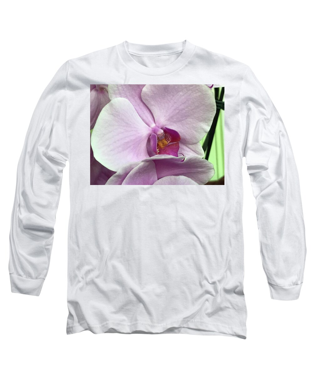 Vivian Helena Aumond Capone Long Sleeve T-Shirt featuring the photograph Wings #2 by Vivian Aumond
