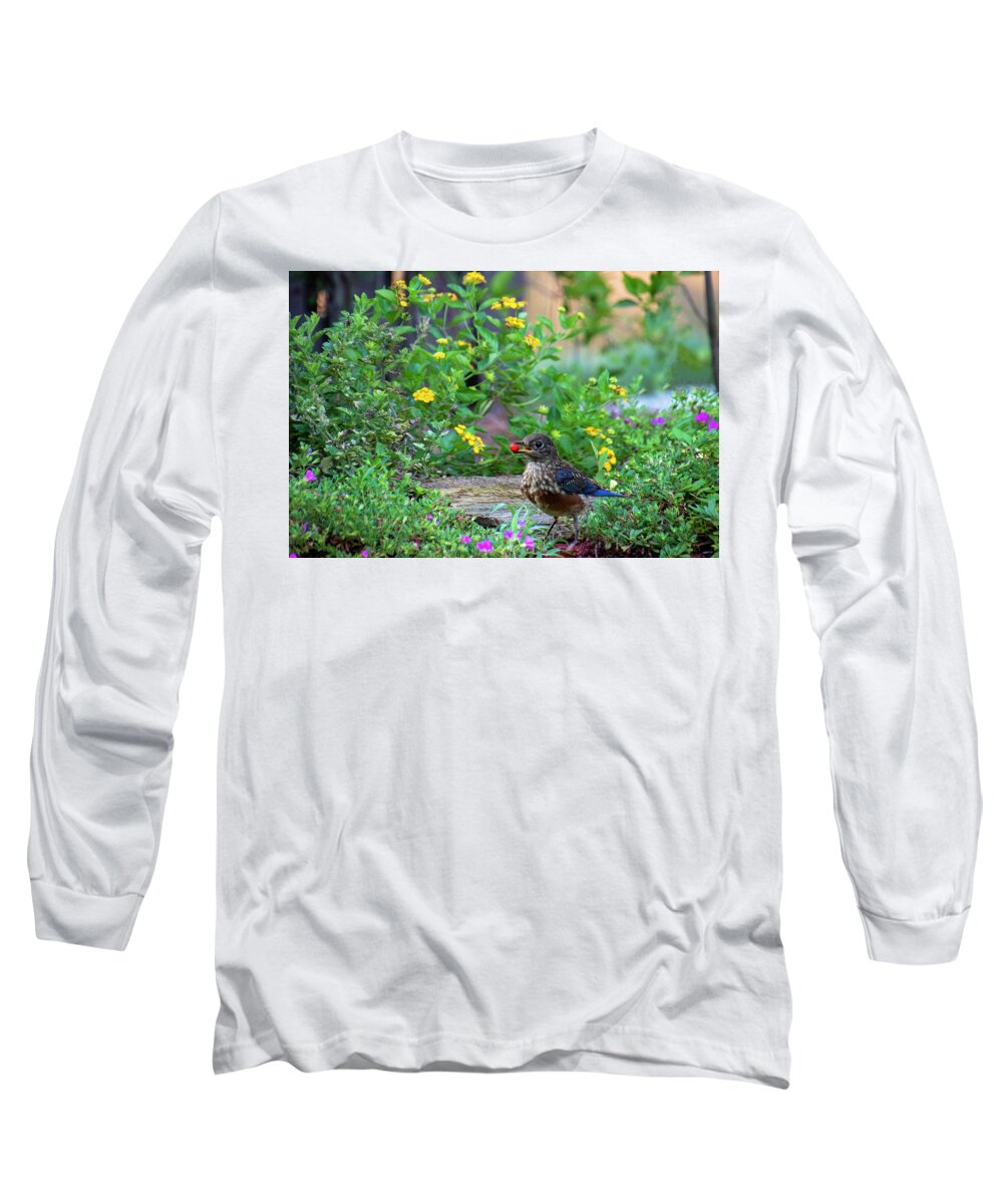 Bluebird Long Sleeve T-Shirt featuring the photograph A Berry Good Morning by Mary Buck