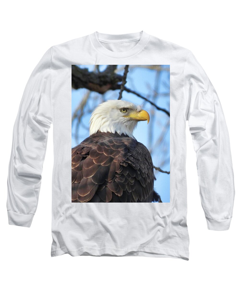 American Bald Eagle Long Sleeve T-Shirt featuring the photograph Always Alert by Jack Wilson
