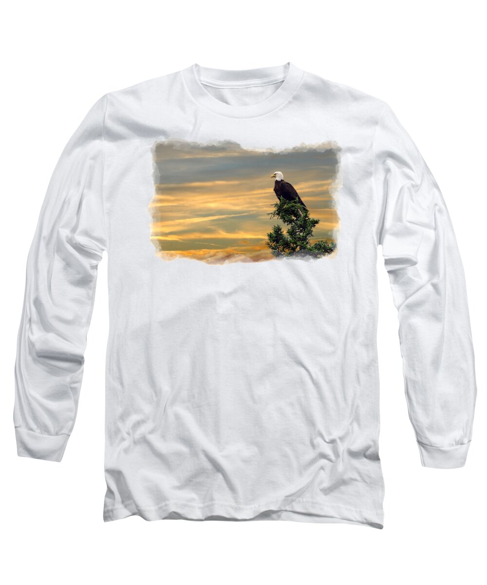 American Long Sleeve T-Shirt featuring the photograph American Bald Eagle watching sunset by Daniel Friend