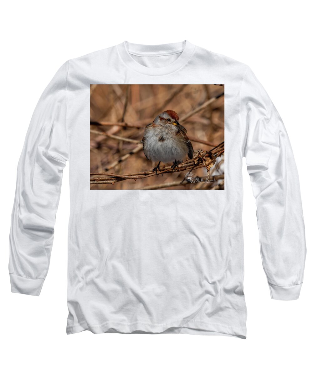 Tree Sparrow Long Sleeve T-Shirt featuring the photograph American Tree Sparrow by Regina Muscarella
