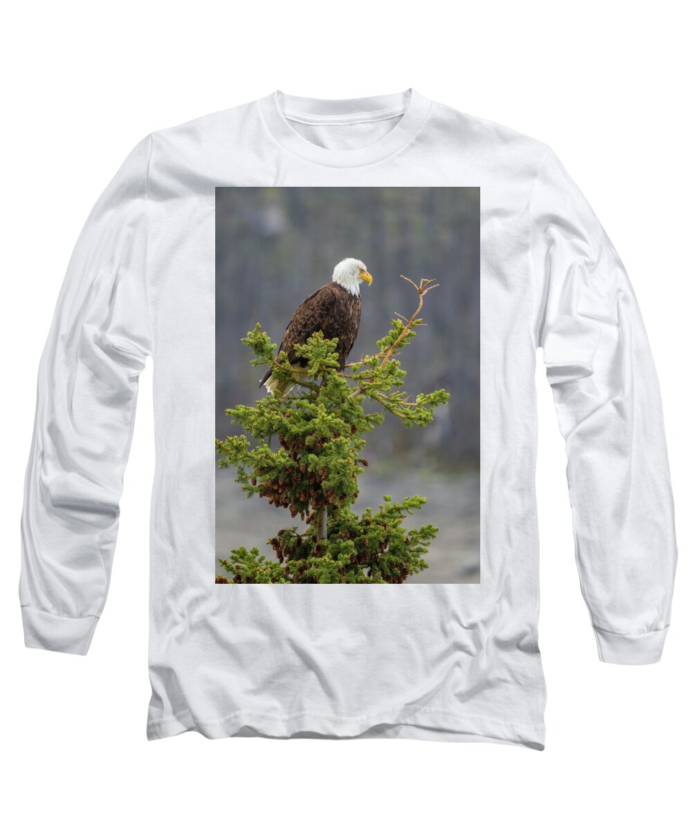 Eagle Long Sleeve T-Shirt featuring the photograph Bald Eagle on Top of Spruce by Bill Cubitt