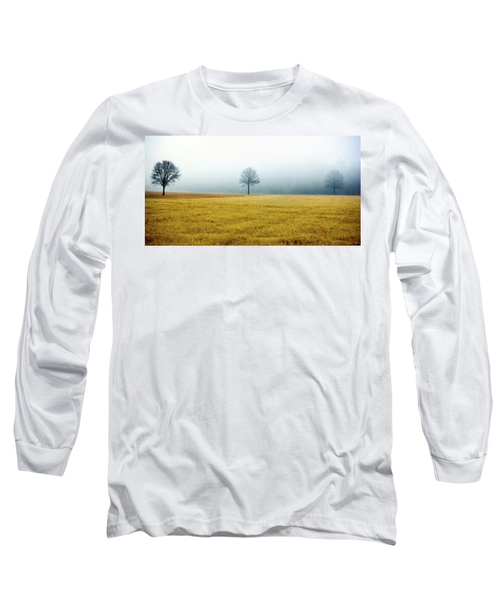Winter Long Sleeve T-Shirt featuring the photograph Bare Trees on Golden Grass by WAZgriffin Digital