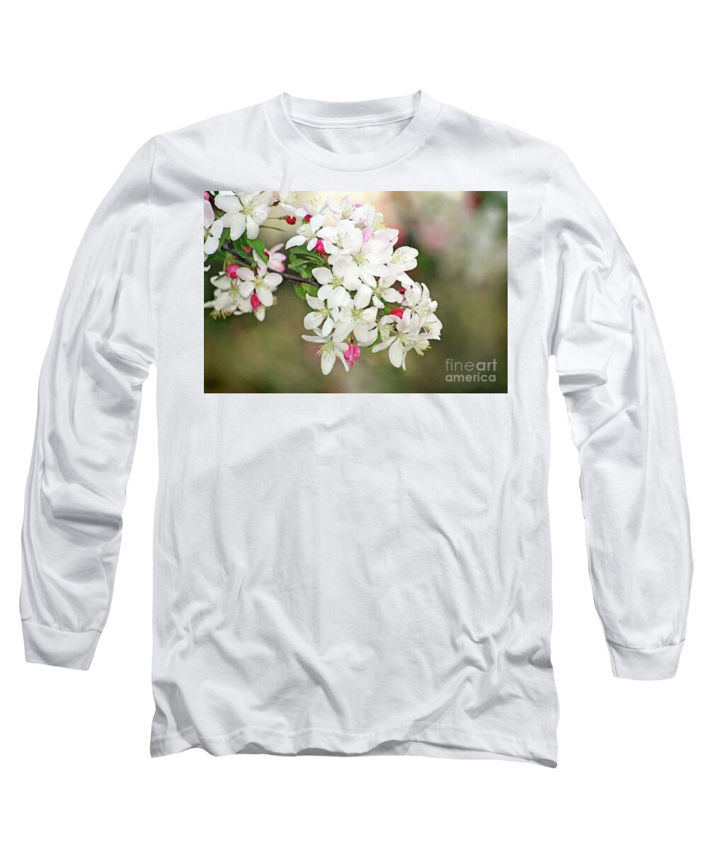Apple Blossoms; Tree Blossoms; Flowers; Fruit Tree; Spring; Watercolor; Bokeh; Floral; Romantic; Peaceful; Dreamy; Close-up; Macro; Horizontal Long Sleeve T-Shirt featuring the digital art Beautiful Apple Blossoms by Tina Uihlein