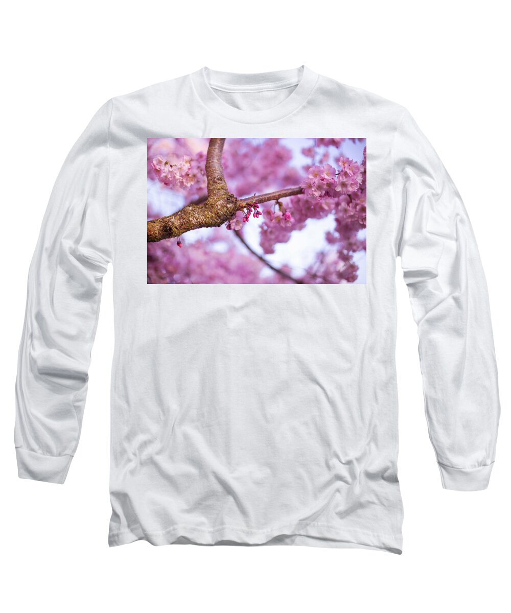Cherry Blossoms Long Sleeve T-Shirt featuring the photograph Budding blossoms by Kunal Mehra