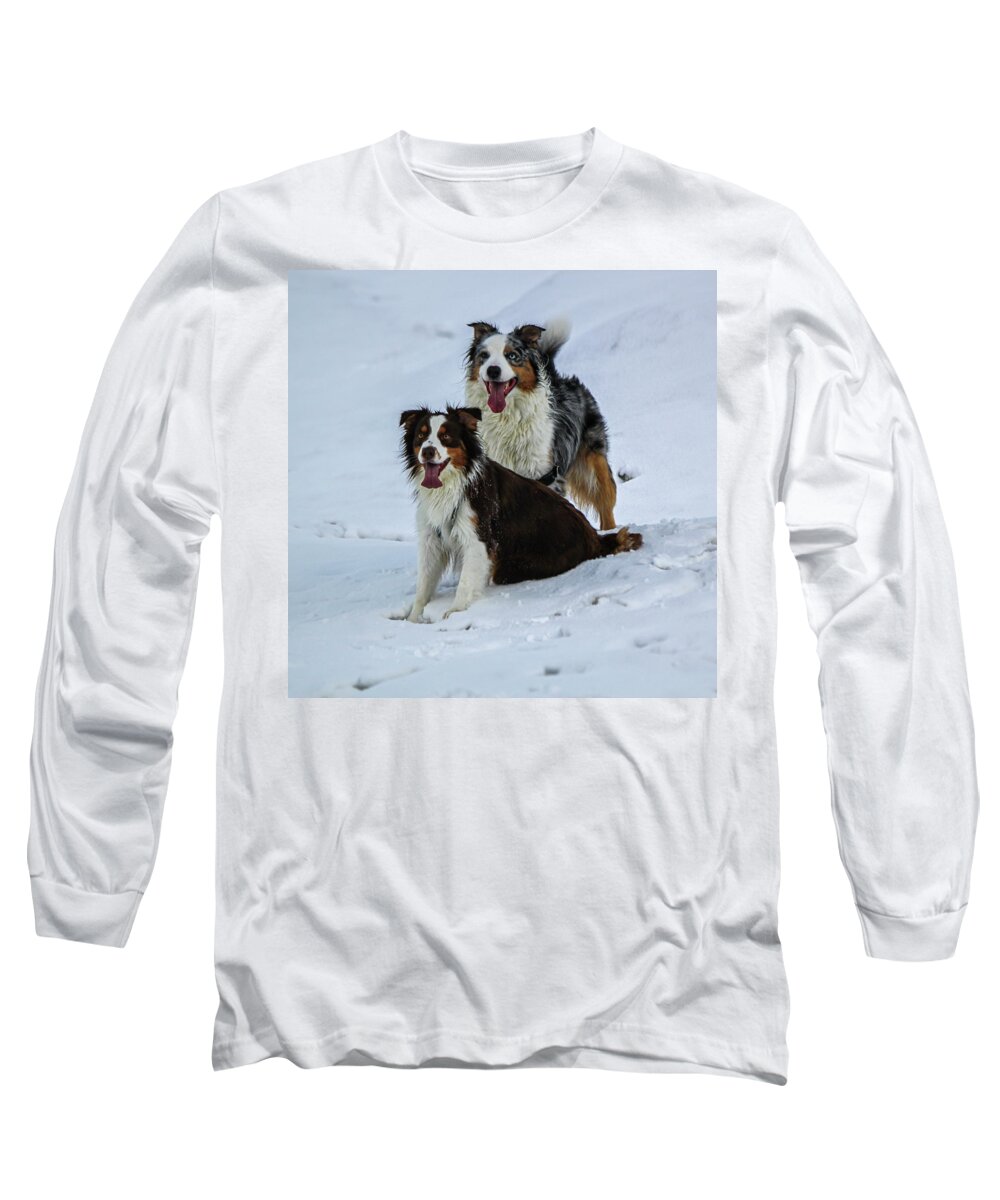 Dog Long Sleeve T-Shirt featuring the photograph Couple of australian shepherd dogs by Elenarts - Elena Duvernay photo