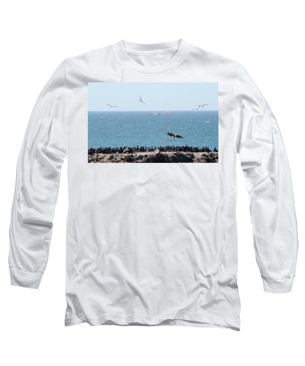 Scenic Long Sleeve T-Shirt featuring the photograph Dropping by for lunch by Doug Davidson