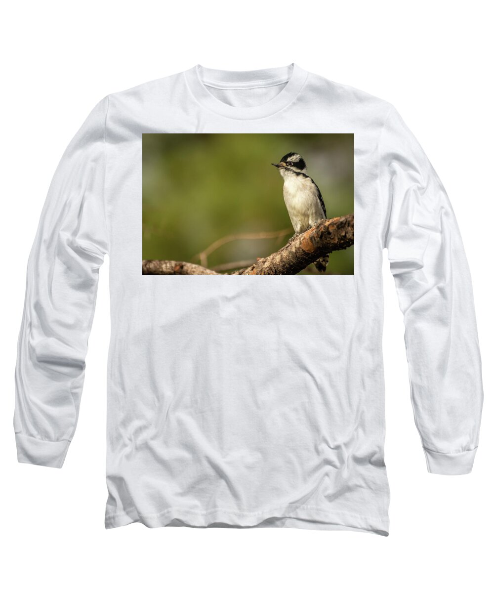 Downy Woodpecker Long Sleeve T-Shirt featuring the photograph Female Downy Woodpecker by Constance Puttkemery