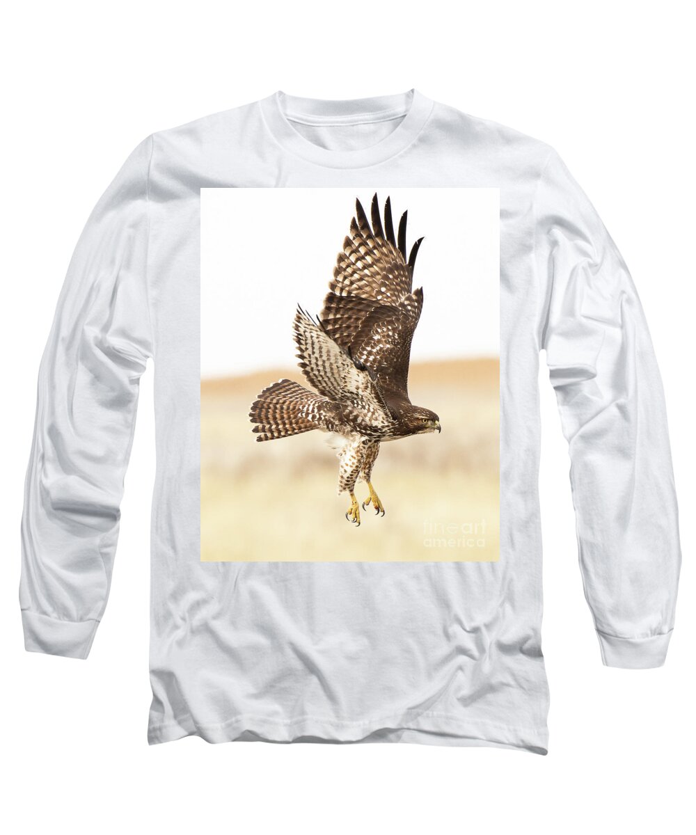 Bird Long Sleeve T-Shirt featuring the photograph Final onto the Prey by Dennis Hammer