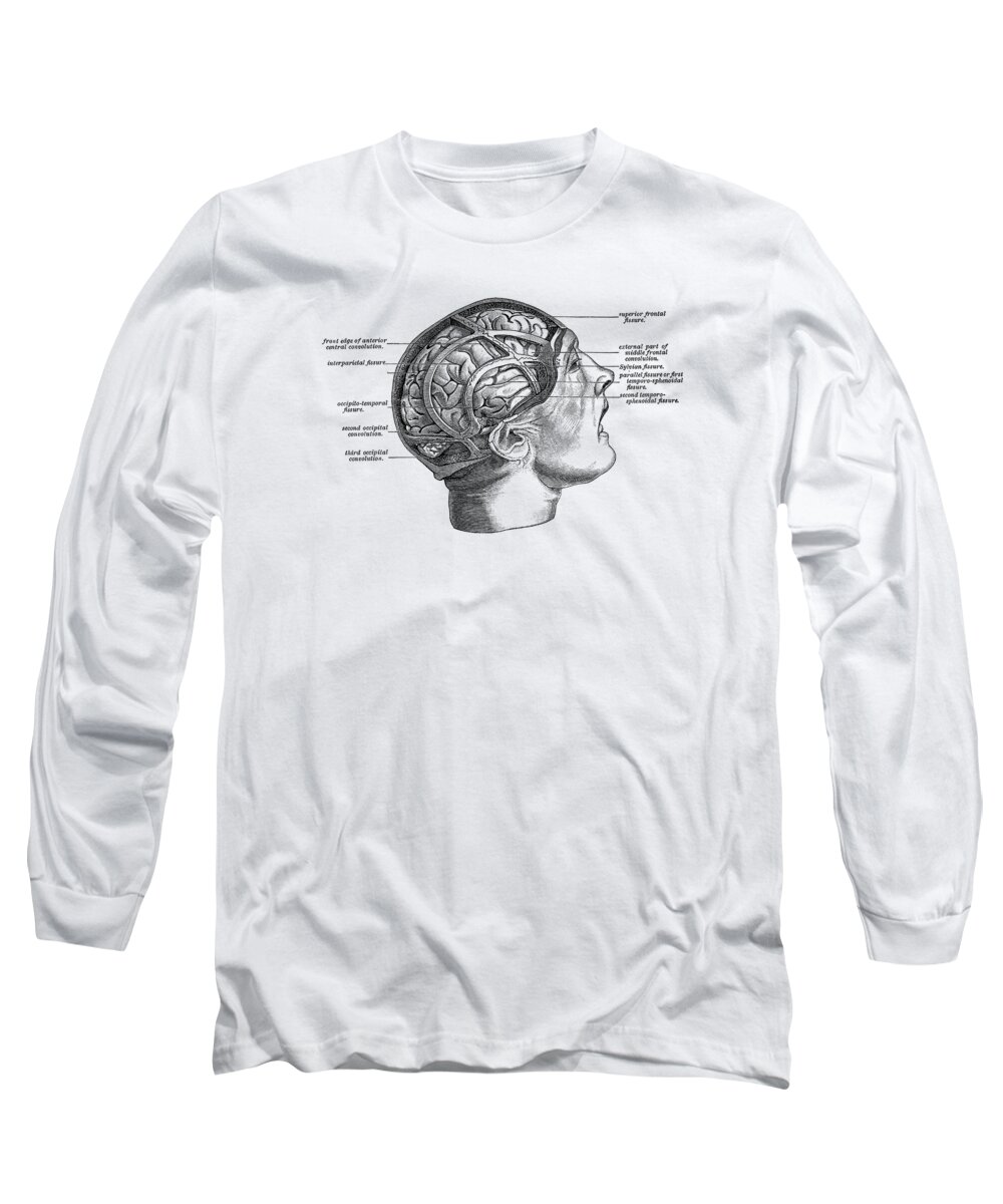 Brain Long Sleeve T-Shirt featuring the drawing Fissure Focused Brain Diagram - Vintage Anatomy 2 by Vintage Anatomy Prints