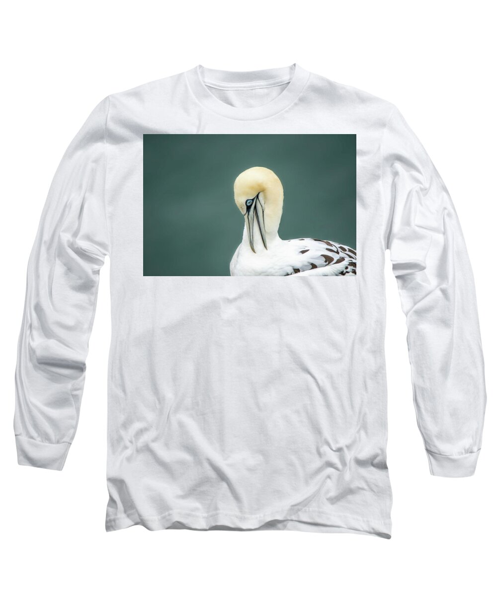 Gannet Long Sleeve T-Shirt featuring the photograph Gannet Looking Down by Gareth Parkes