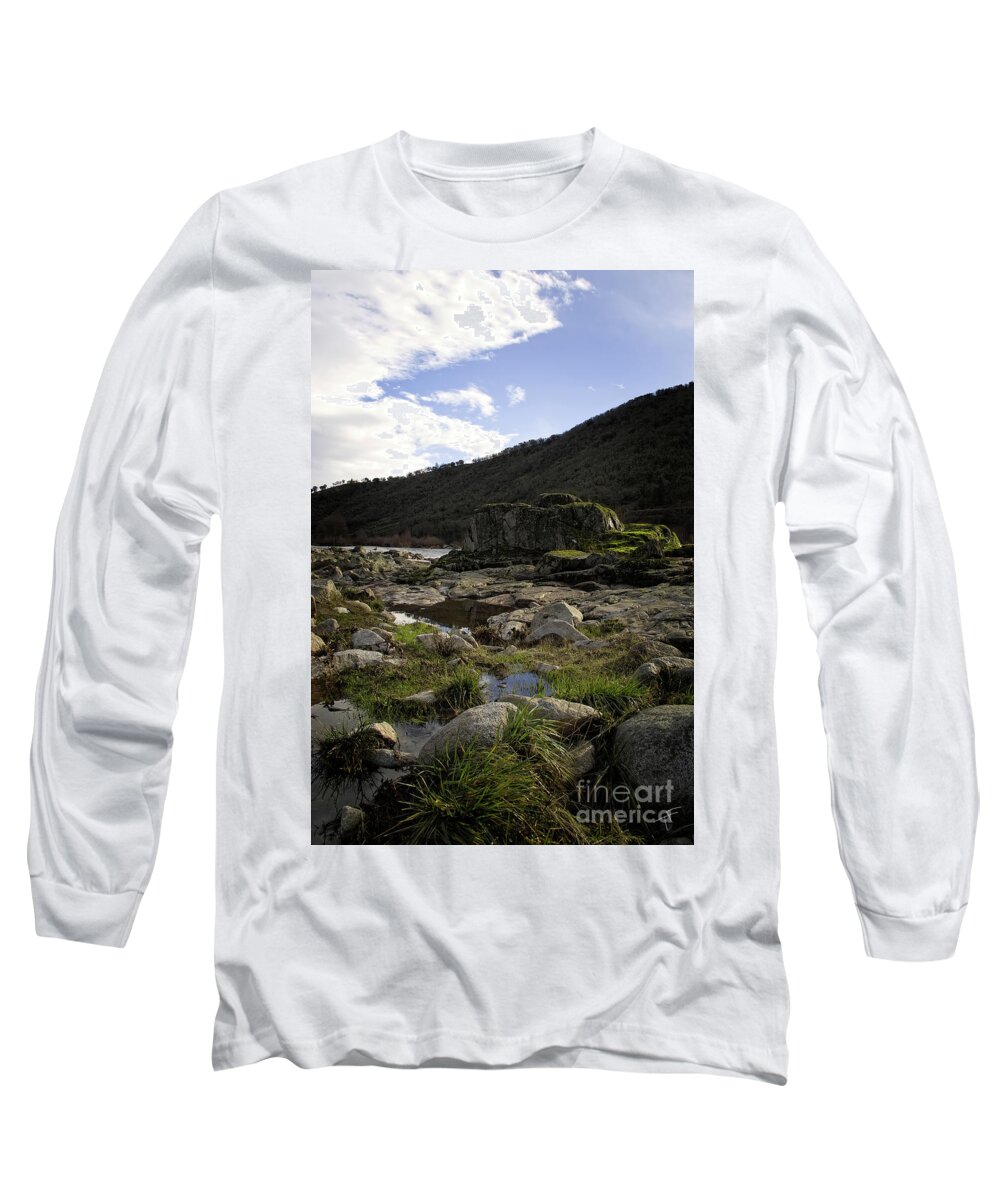 Geese Long Sleeve T-Shirt featuring the photograph Geese on the Rouge River II by Theresa Fairchild