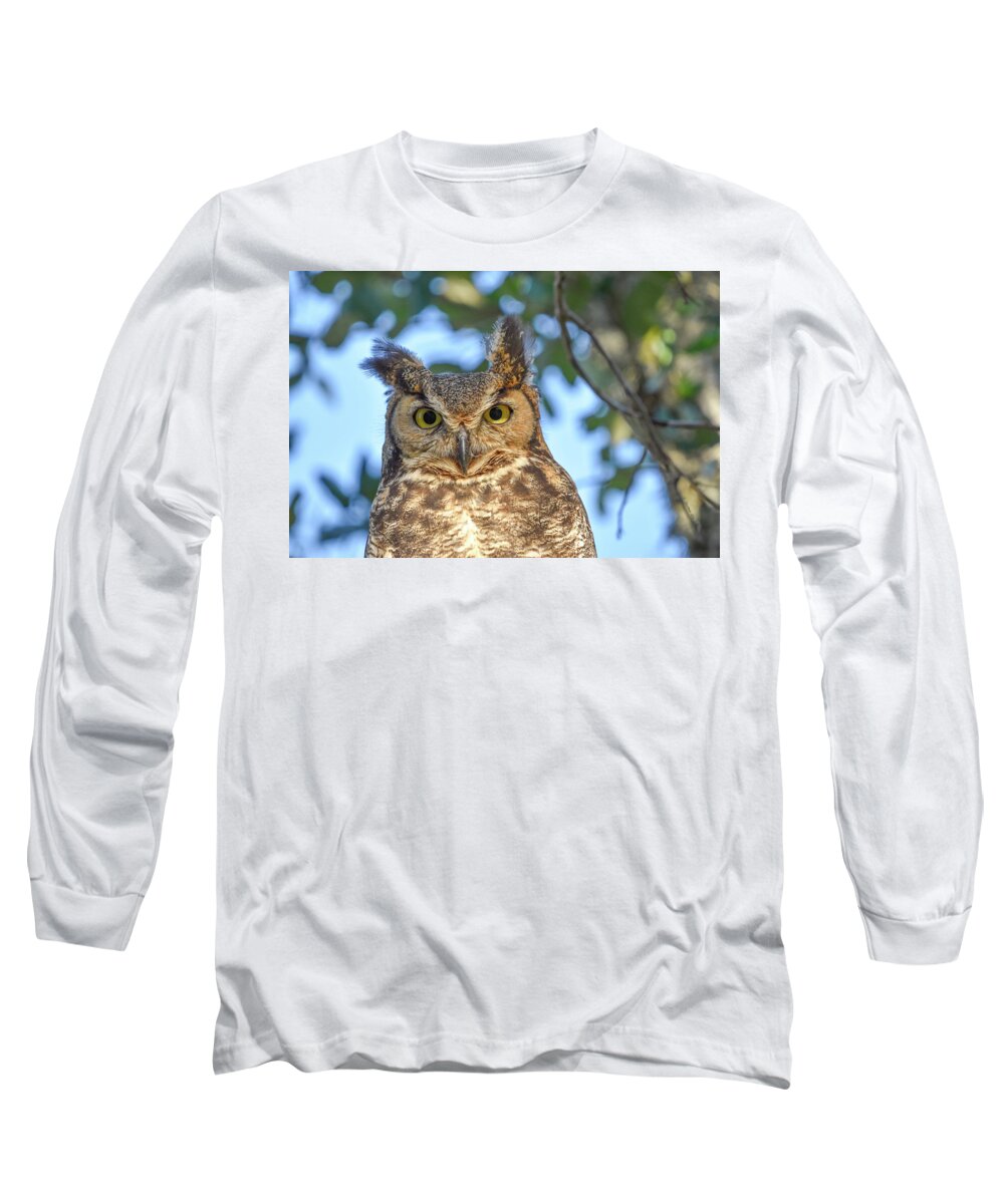 Owl Long Sleeve T-Shirt featuring the photograph Great Horned Owl by Christopher Rice