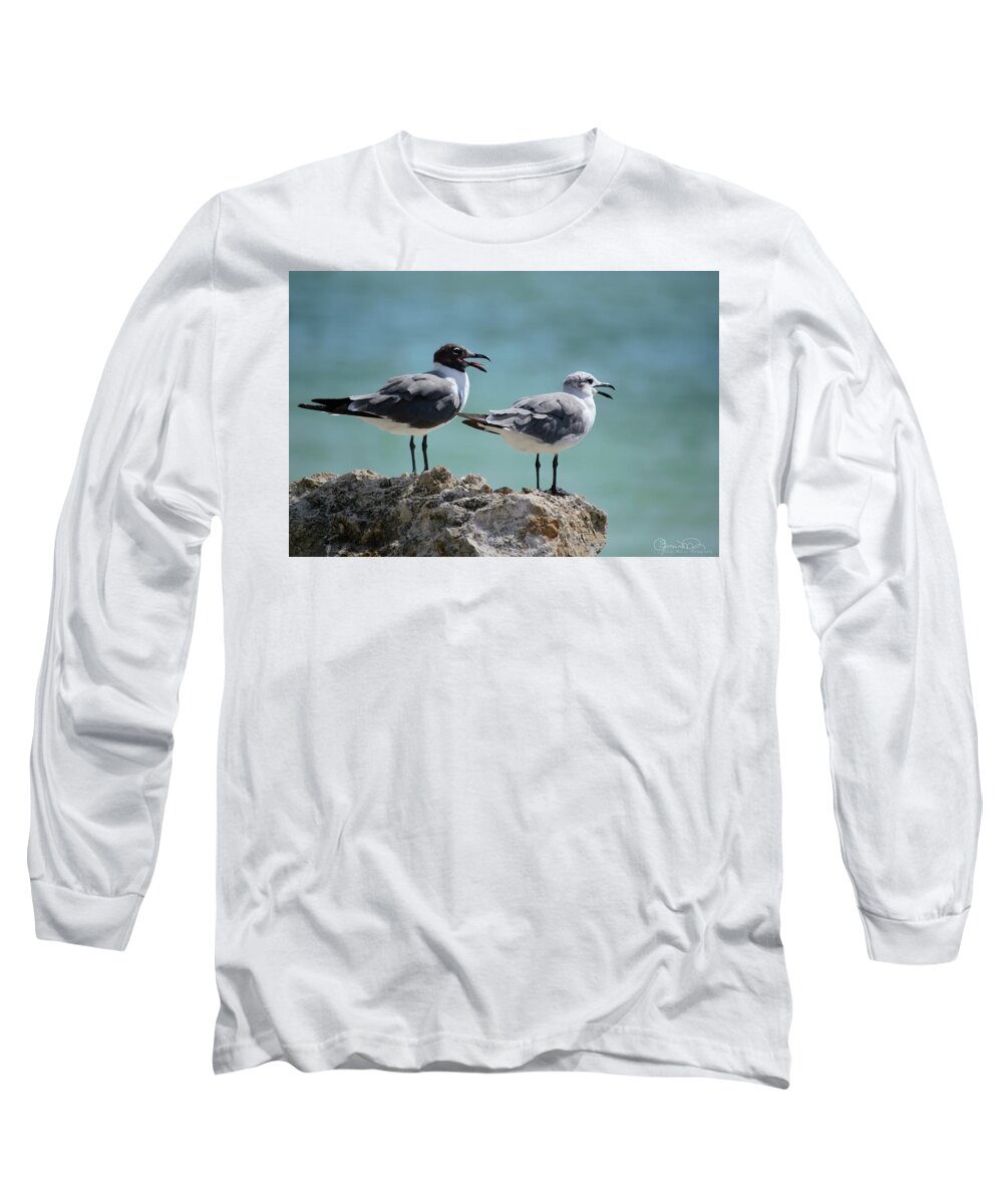 Susan Molnar Long Sleeve T-Shirt featuring the photograph Gull Talk by Susan Molnar