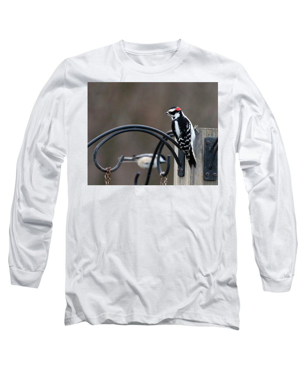 Woodpecker Long Sleeve T-Shirt featuring the photograph Hairy Woodpecker 5 by Terry Cork