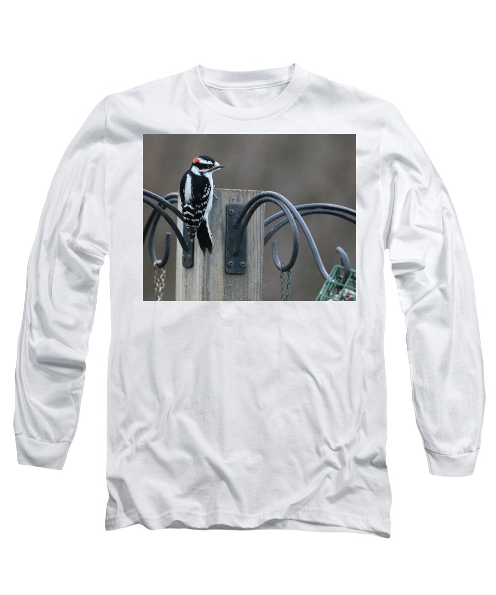 Woodpecker Long Sleeve T-Shirt featuring the photograph Hairy Woodpecker by Terry Cork