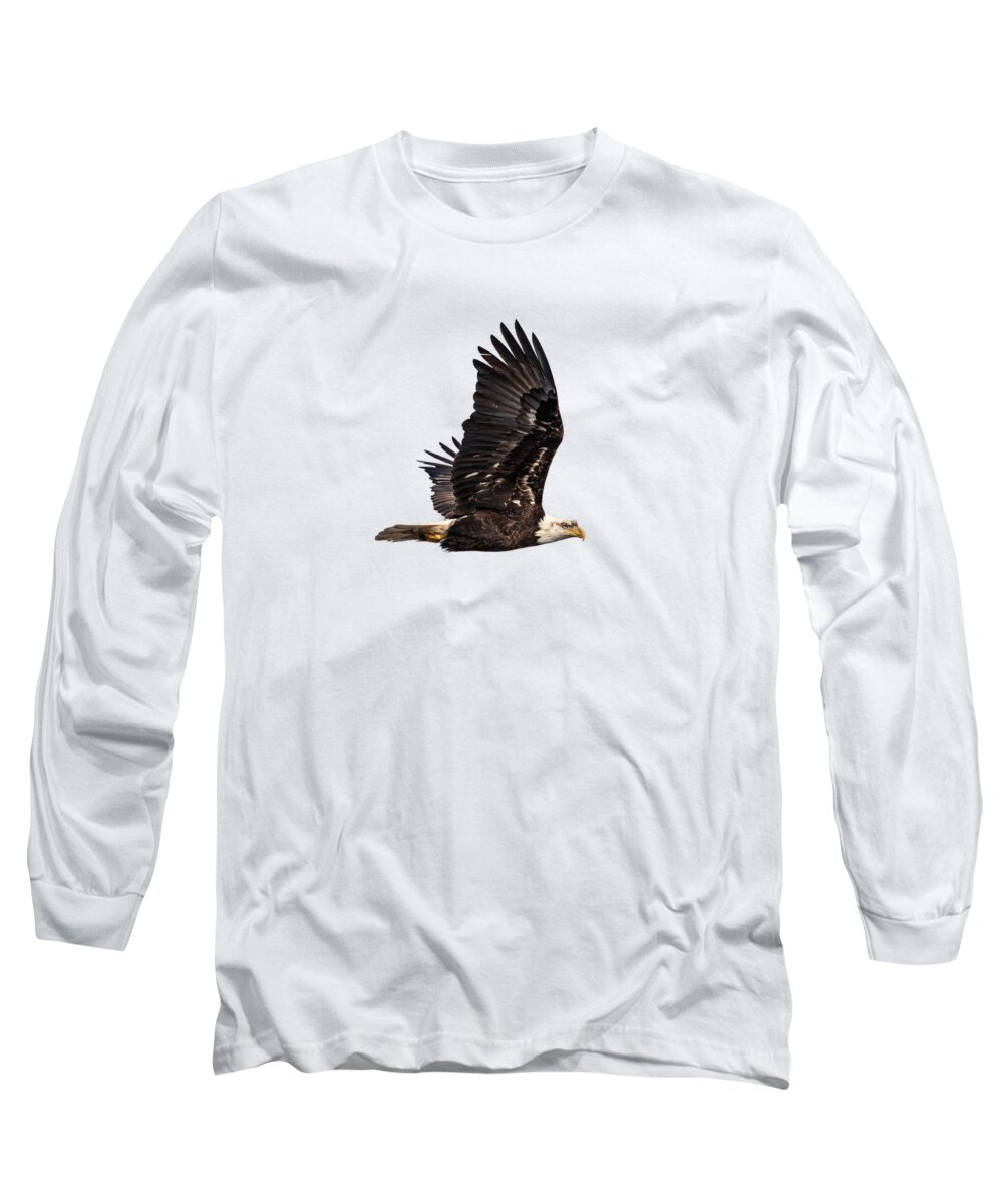 American Bald Eagle Long Sleeve T-Shirt featuring the photograph Isolated Bald Eagle 2019-3A by Thomas Young