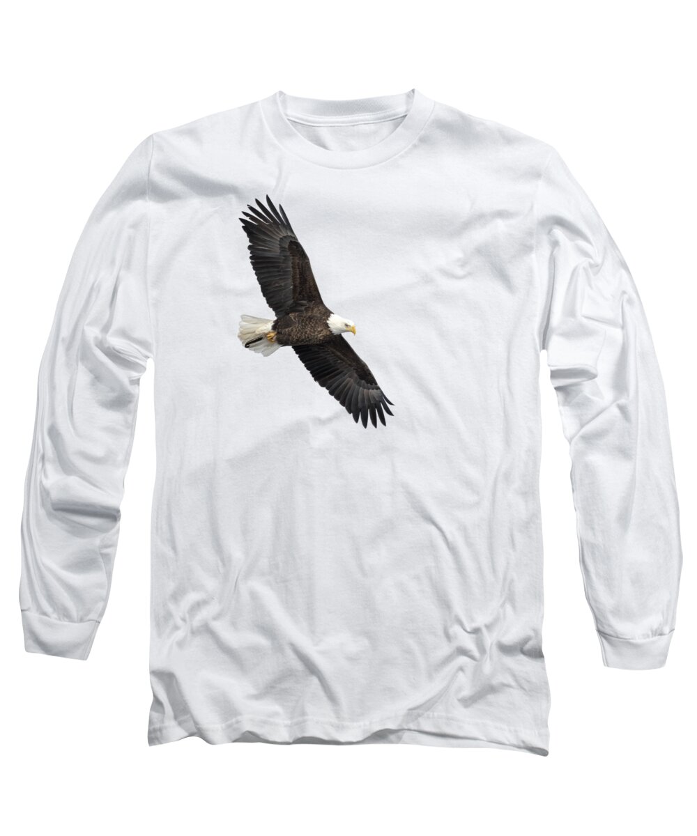 American Bald Eagle Long Sleeve T-Shirt featuring the photograph Isolated Bald Eagle 2019-5 by Thomas Young
