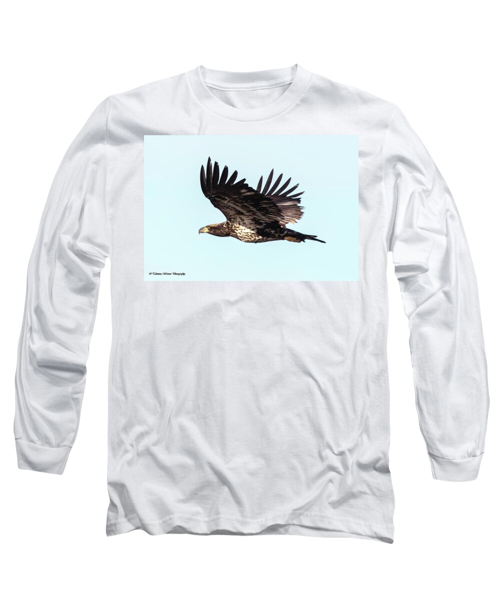 #eagle #bird #raptor #nature #wildlife Long Sleeve T-Shirt featuring the photograph Juvenile Eagle in Flight by Tahmina Watson