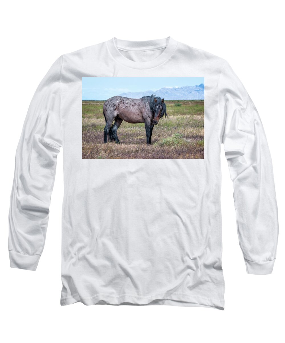 Horse Long Sleeve T-Shirt featuring the photograph Lonesome Joe by Jeanette Mahoney