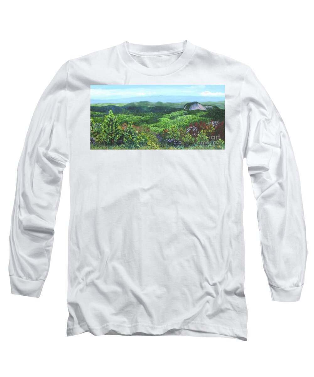 Looking Glass Rock Long Sleeve T-Shirt featuring the painting Looking Glass Rock by Anne Marie Brown