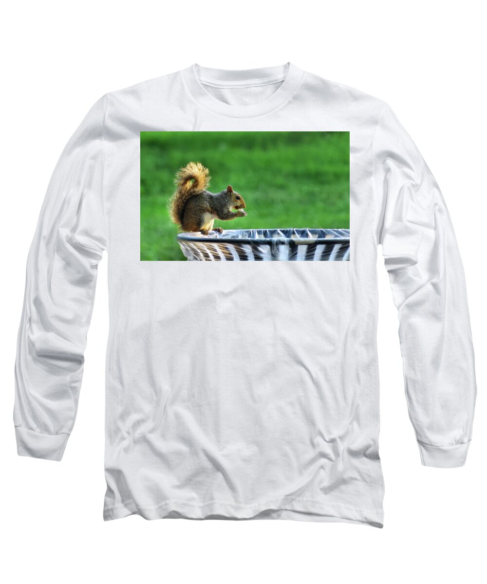 Squirrel Long Sleeve T-Shirt featuring the photograph Lunch by Buddy Scott