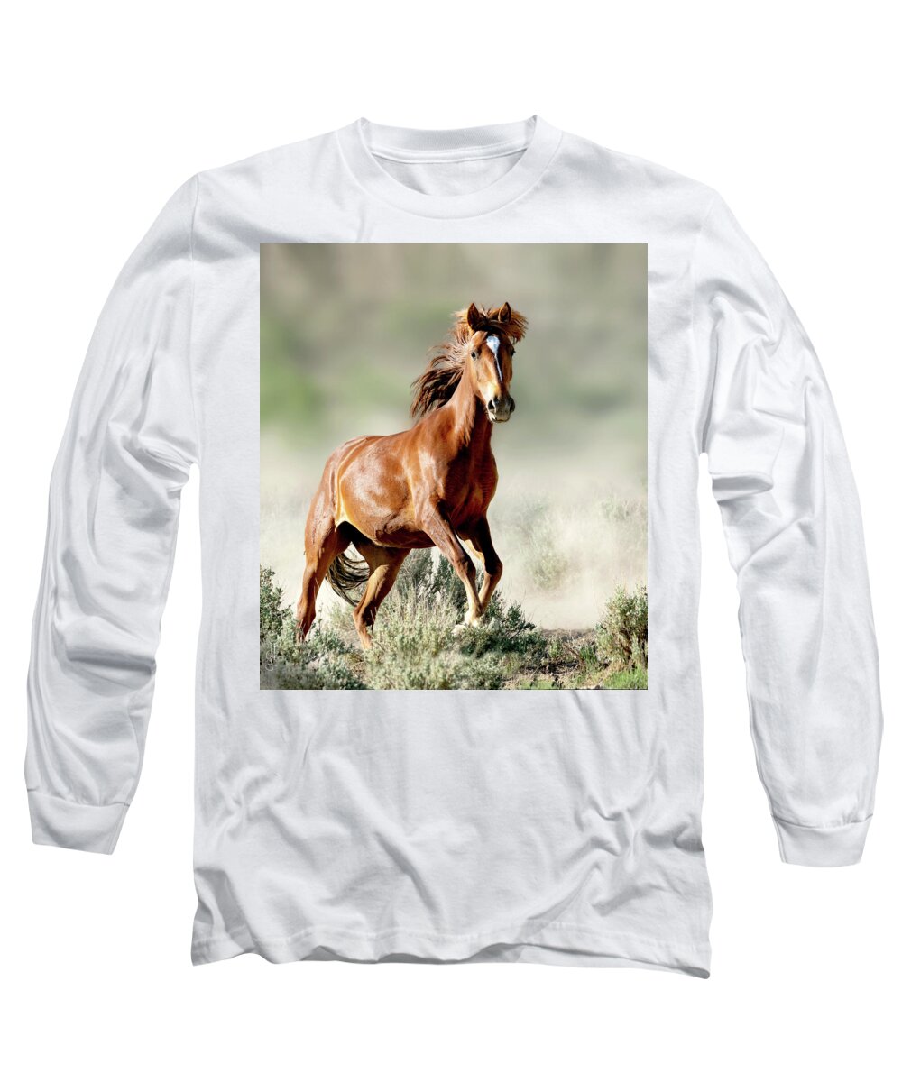 Horses Long Sleeve T-Shirt featuring the photograph Magnificent Mustang Wildness by Judi Dressler