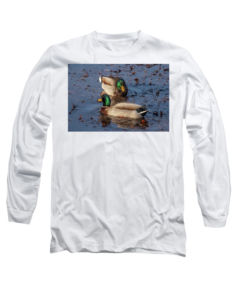 Mallards Long Sleeve T-Shirt featuring the photograph Mallards in the Pond by Dorothy Cunningham
