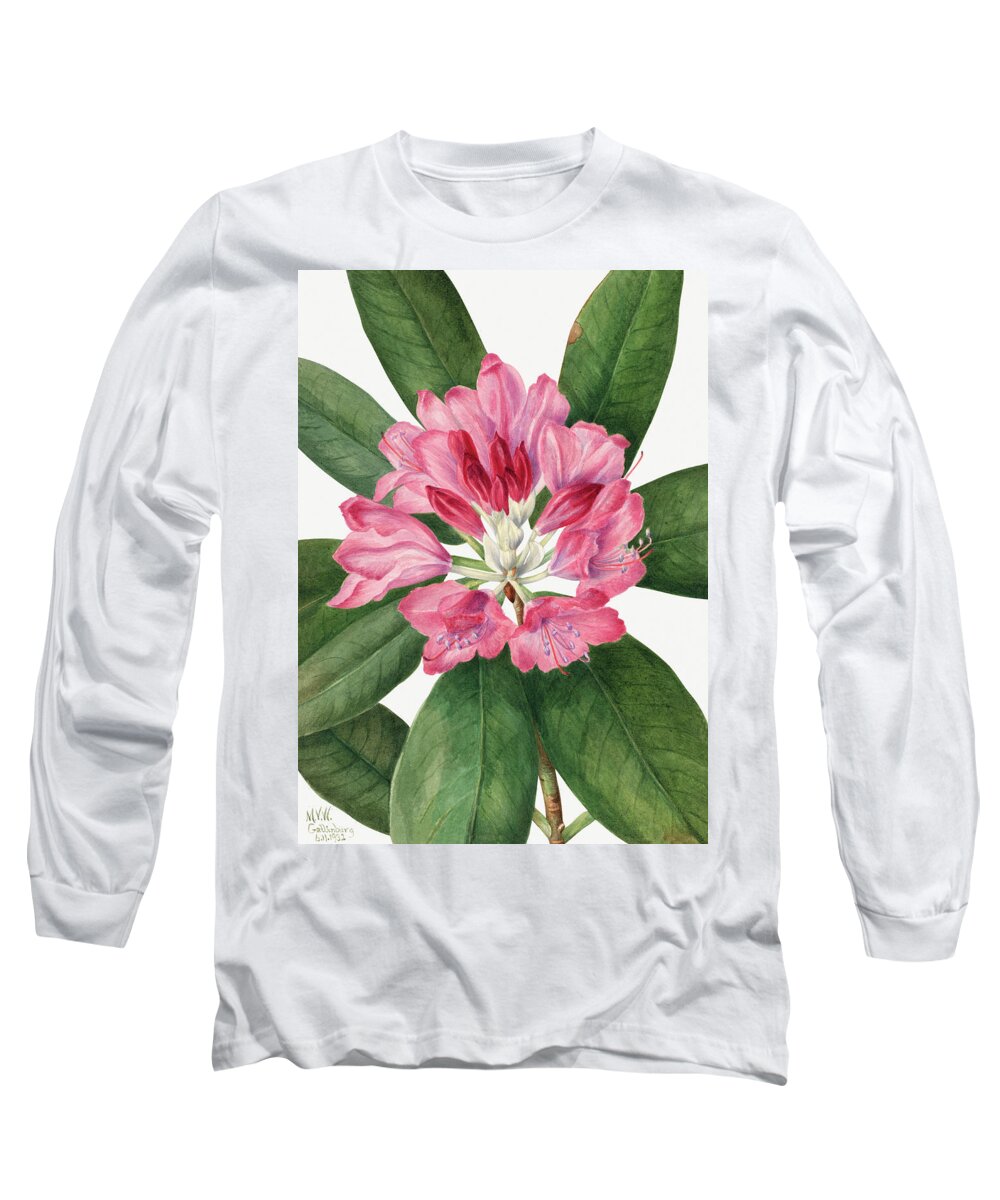 Rose Long Sleeve T-Shirt featuring the painting Mountain Rose Bay by Mary Vaux Walcott. by World Art Collective