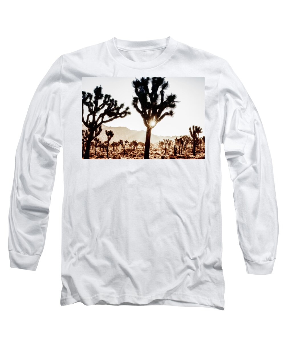 Joshua Tree Long Sleeve T-Shirt featuring the photograph Mystical Sunrise At Joshua Tree National Park by Joseph S Giacalone