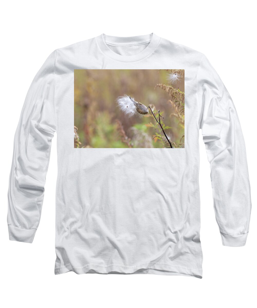 Plants Long Sleeve T-Shirt featuring the photograph Nature Photography - Milkweed by Amelia Pearn