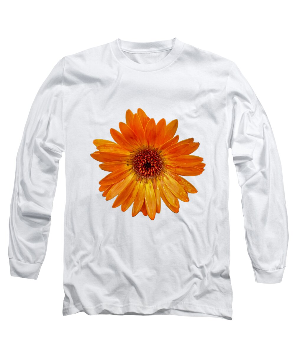 Daisy Long Sleeve T-Shirt featuring the photograph Orange Daisy - White Background by Tony Baca