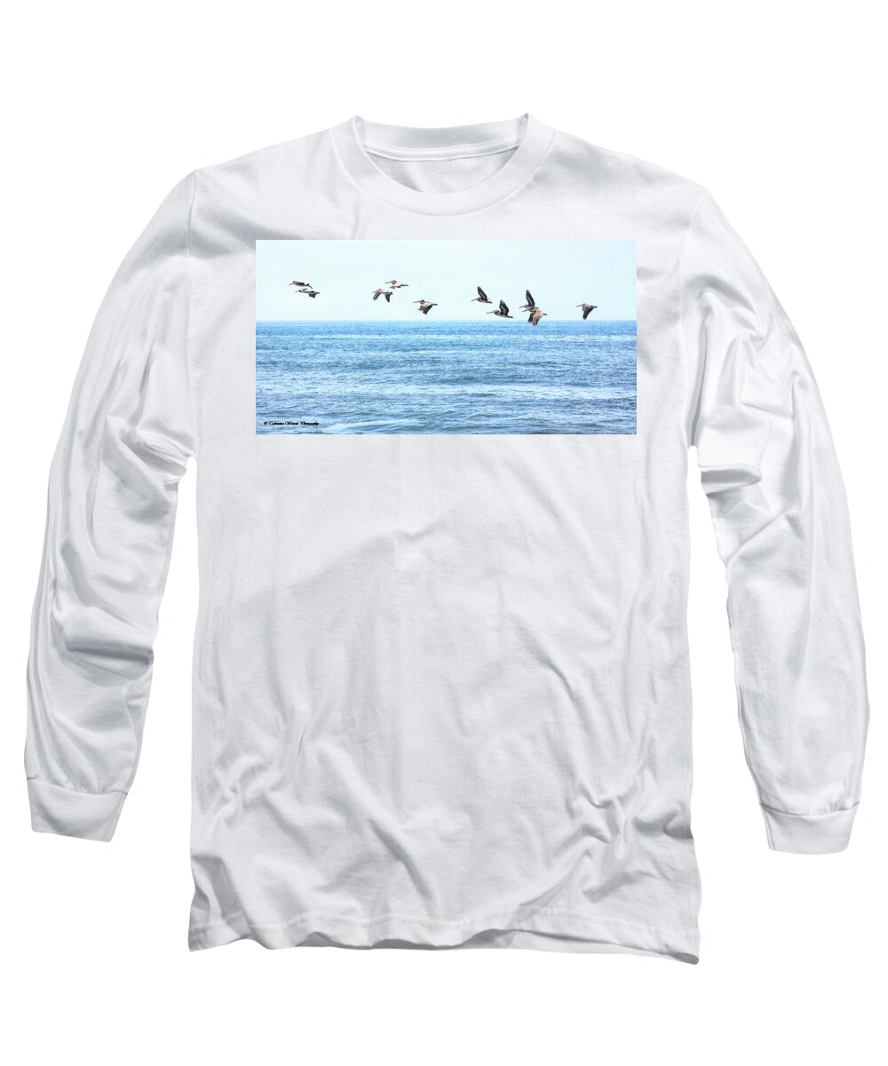 Pelican Long Sleeve T-Shirt featuring the photograph Pelican Pod by Tahmina Watson