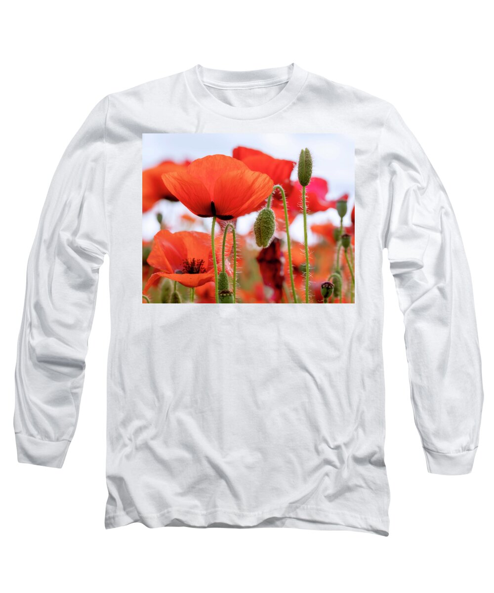 Red Long Sleeve T-Shirt featuring the photograph Red Poppies in a Field by Catherine Avilez