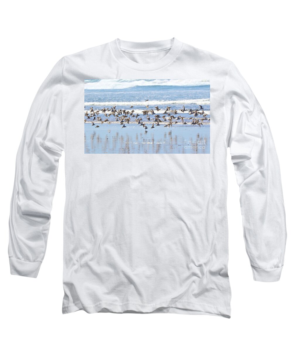 Birds Long Sleeve T-Shirt featuring the photograph Sanderlings by Vivian Krug Cotton