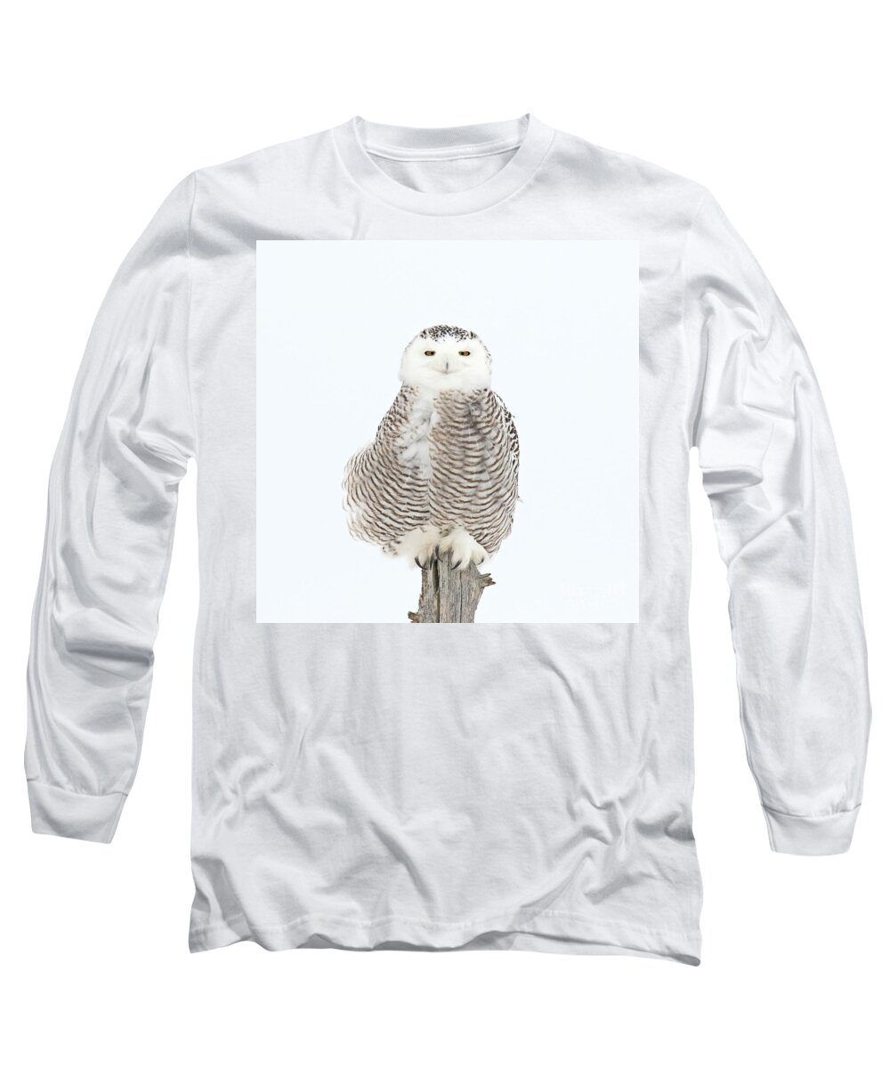 Snowy Owl Long Sleeve T-Shirt featuring the photograph She is so pretty when she smiles by Heather King