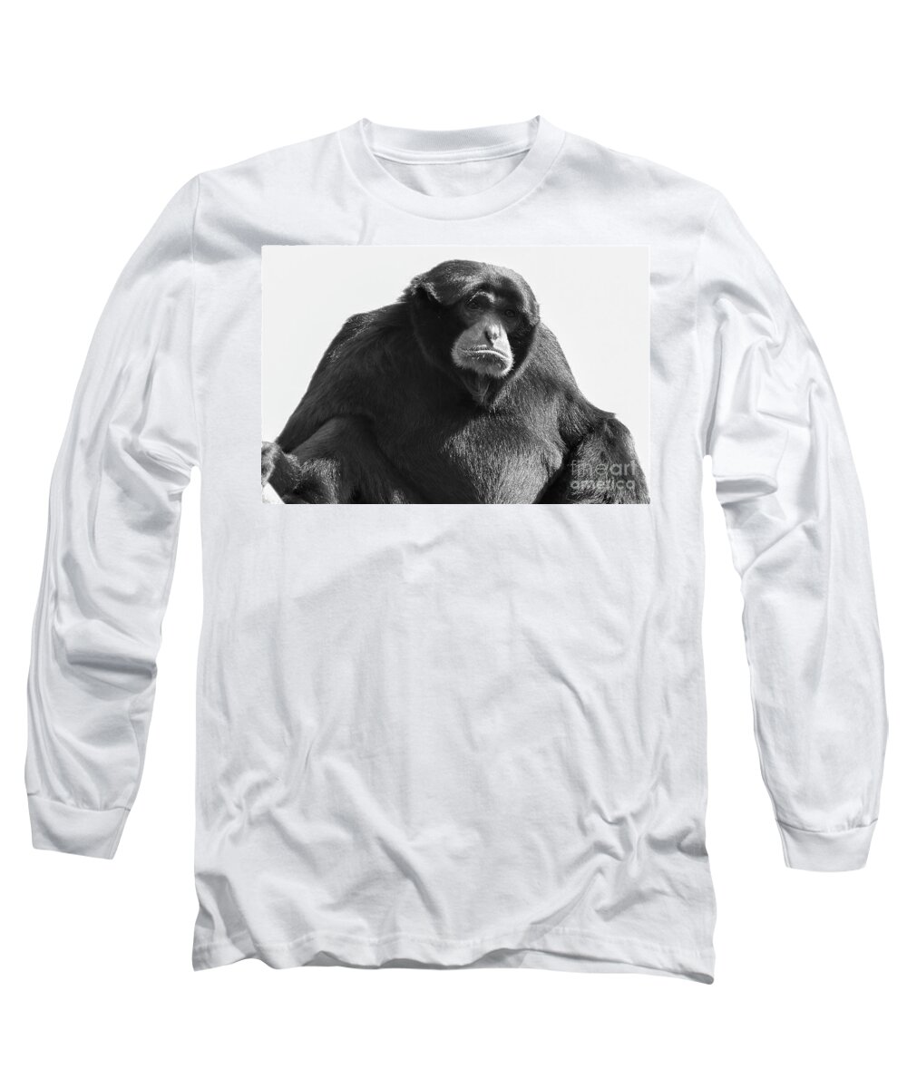 Siamang Long Sleeve T-Shirt featuring the photograph Siamang Portrait in Black and White by Bentley Davis