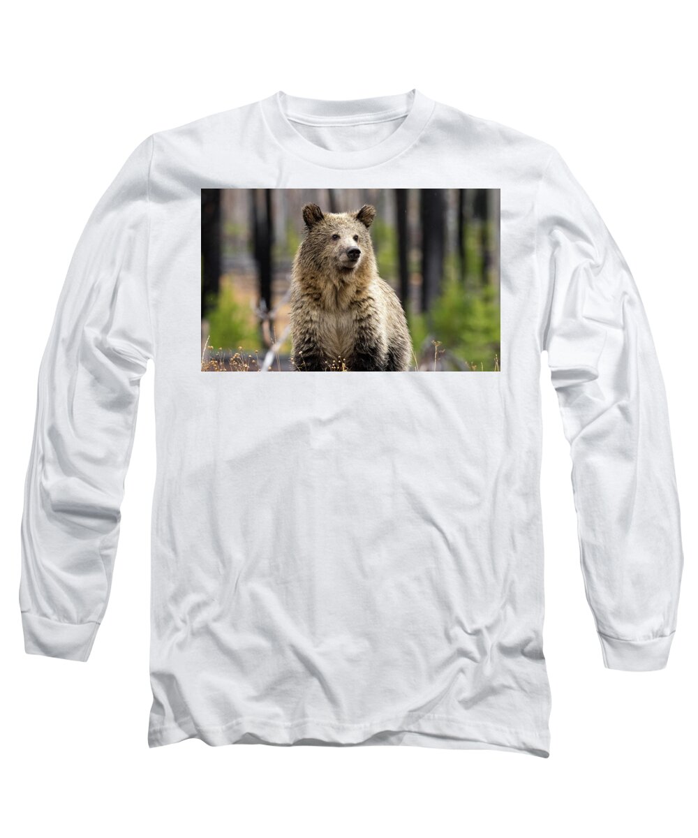 Grizzly Long Sleeve T-Shirt featuring the photograph Snow 3 by Shari Sommerfeld