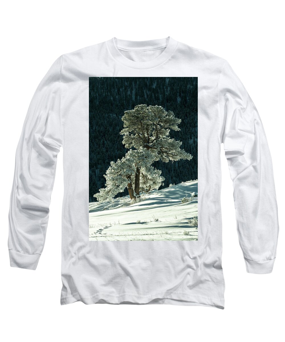 Colorado Long Sleeve T-Shirt featuring the photograph Snow covered tree - 9182 by Jerry Owens