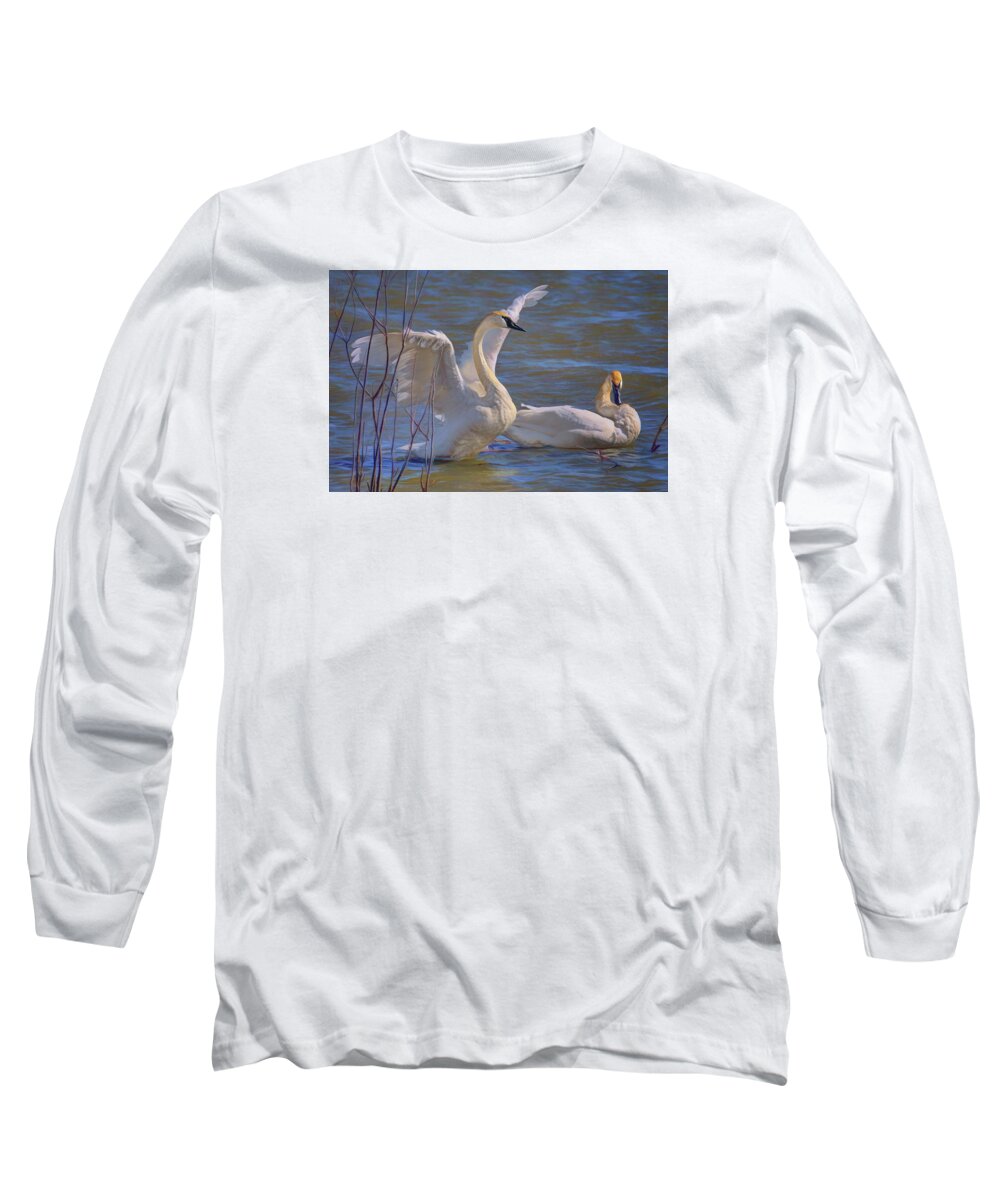 Birds Long Sleeve T-Shirt featuring the photograph Spread Your Wings - Trumpeter Swans by Nikolyn McDonald