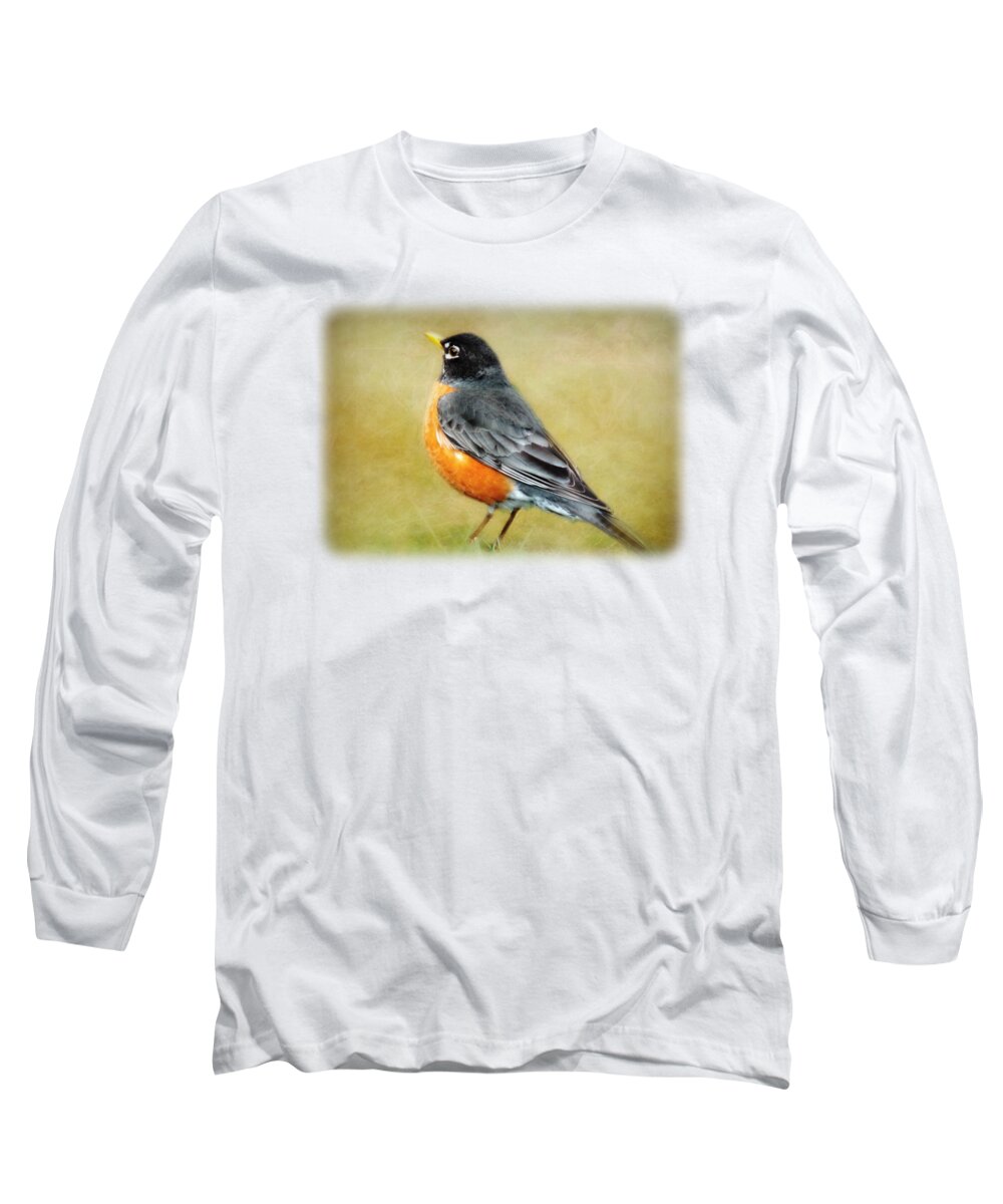 Spring Robin Long Sleeve T-Shirt featuring the photograph Spring Robin by Anita Faye