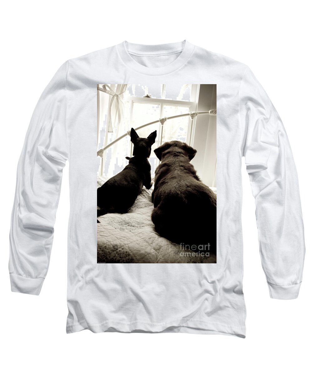Dogs Long Sleeve T-Shirt featuring the photograph Squirrel Watch by Renee Spade Photography