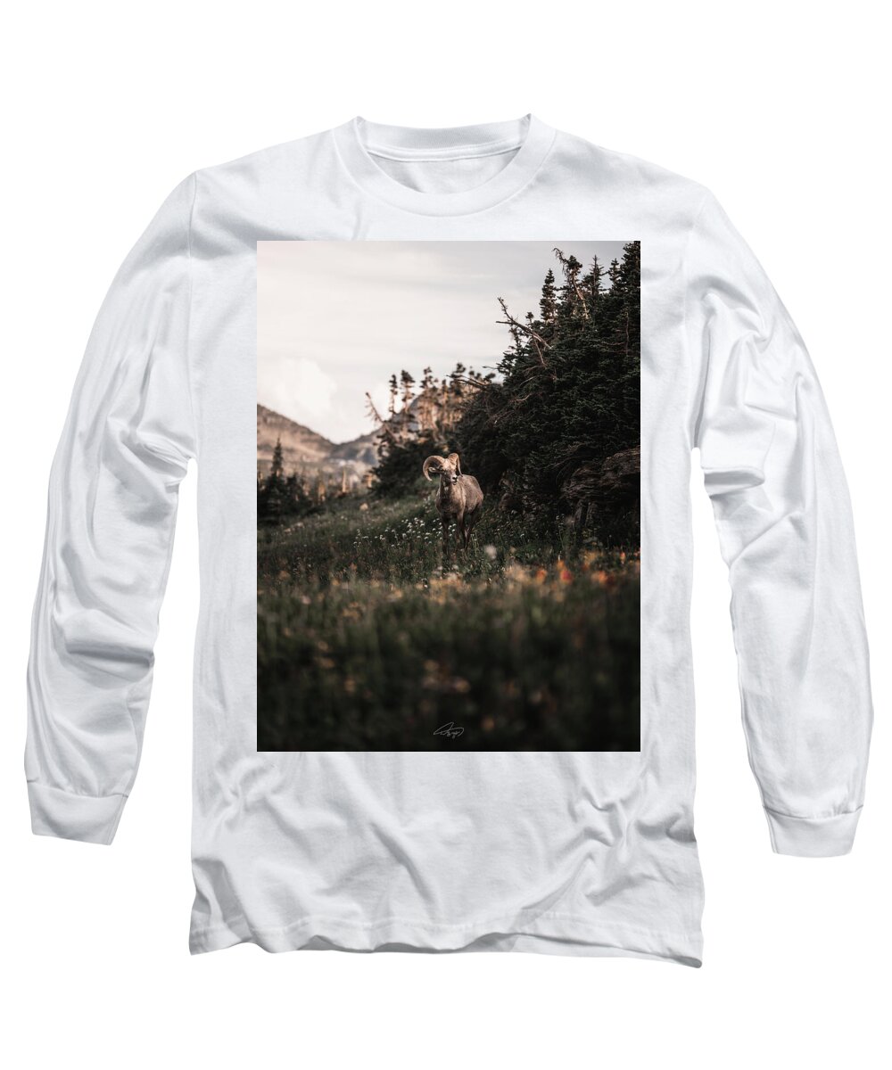  Long Sleeve T-Shirt featuring the photograph Stoic Bighorn by William Boggs