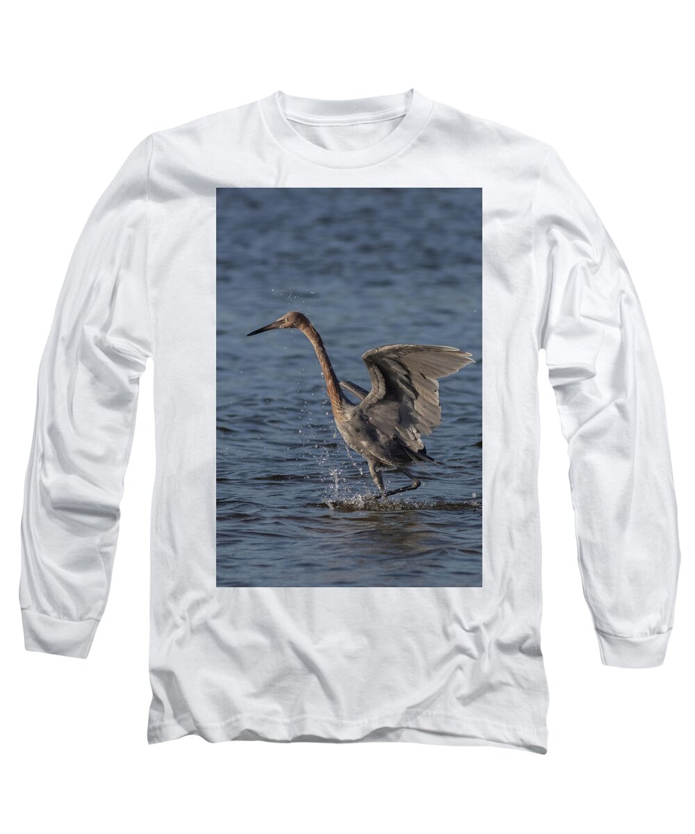 Reddish Egret Long Sleeve T-Shirt featuring the photograph The Dance 1 by RD Allen